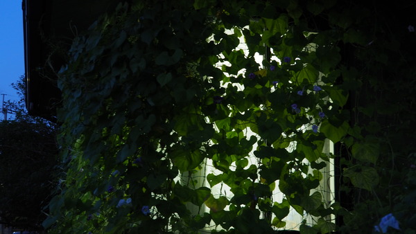 P8257990