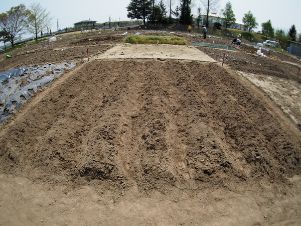 P4302038