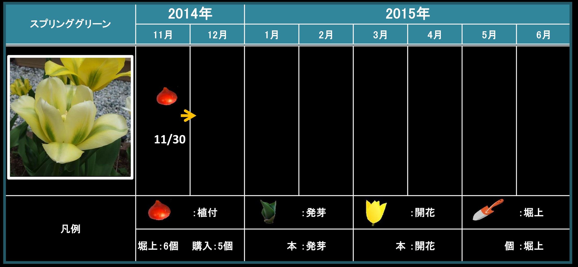 犬が一番かわいい年齢があることをご存知ですか？