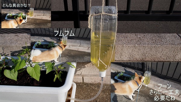 火星の風の音を聞きたいですか? NASA 探査機 InSight が記録しました。