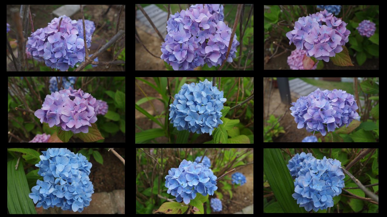 自然にお腹を強くする方法は？