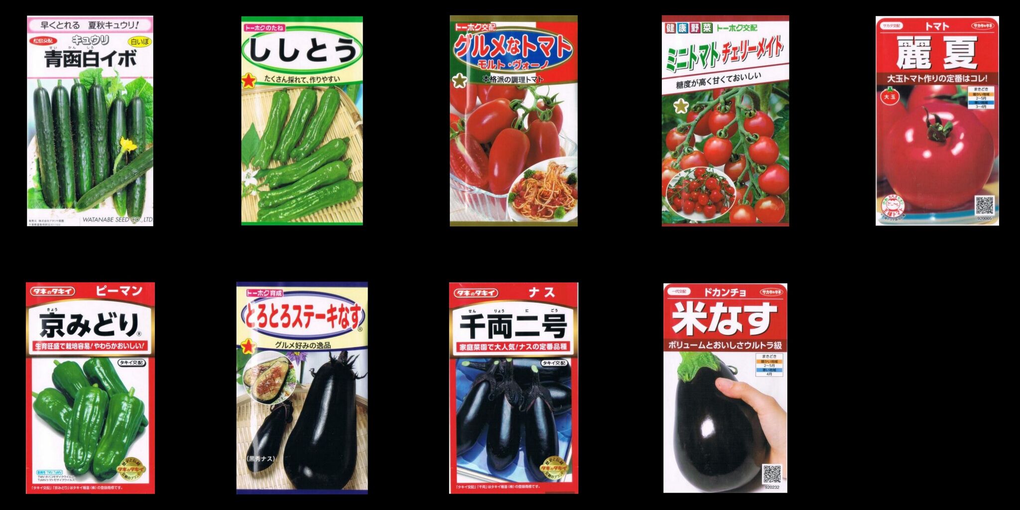 米国は記録的な速さで輸送を実行する技術を持っているだろう