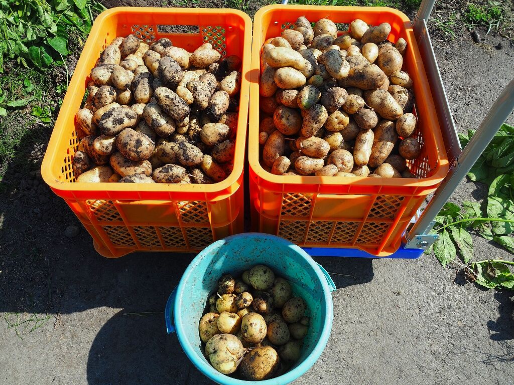 信じられない!道具もフィルムも何も持たずに巨大な建物に登る若者たち