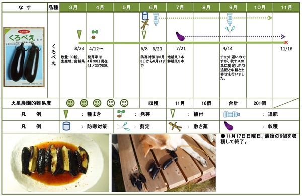 2014年日記11月なす