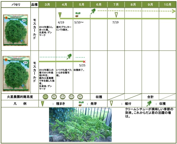 2014年日記10月パセリ