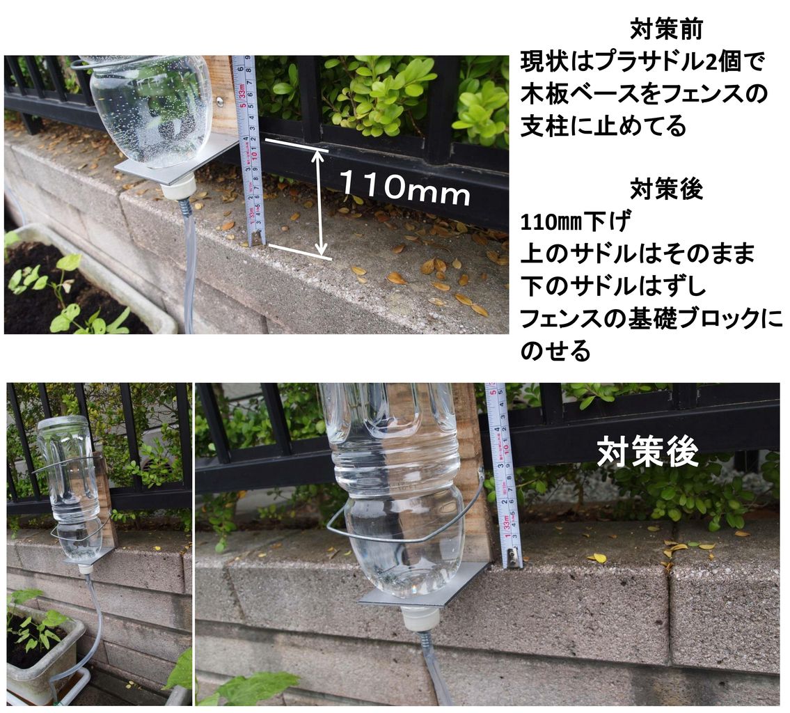 なぜクモを殺してはいけないのでしょうか？