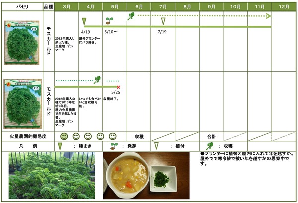 2014年日記11月パセリ