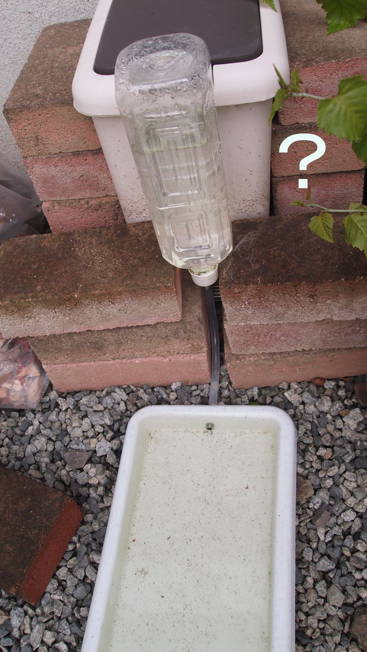 自然にお腹を強くする方法は？