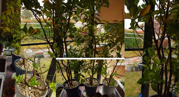 聖書は乾いた骨の谷について何と言っていますか?