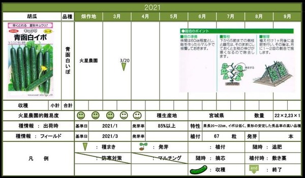 胡瓜3月