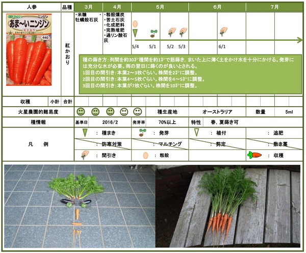サツマイモのでんぷんはより効率的な電池の製造に役立つ可能性がある