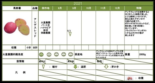 アンデスレッド