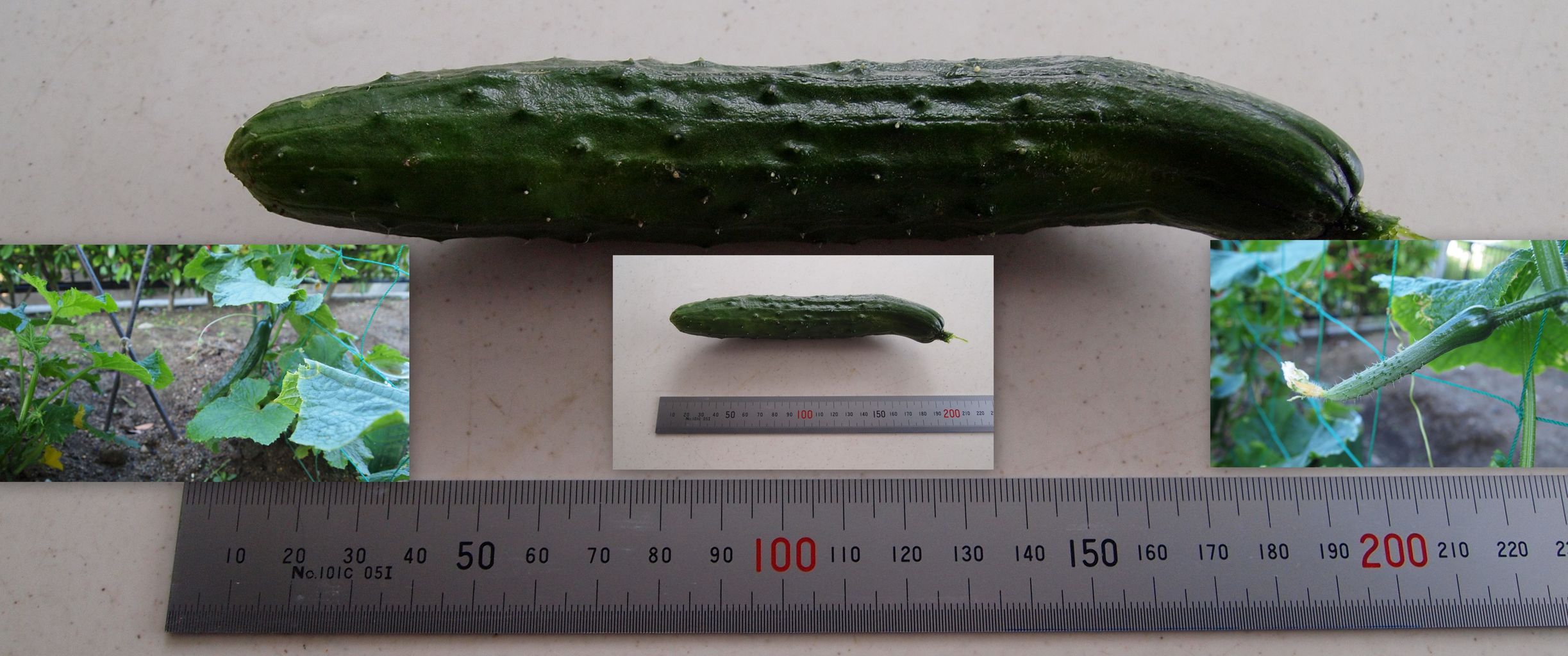 レゴ、トランスフォーマー、Nintendo 64: うまくいきそうな組み合わせ