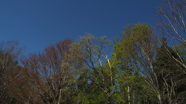 P4250212