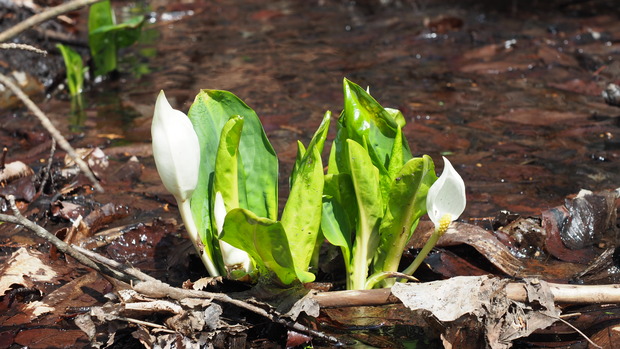 P3280030