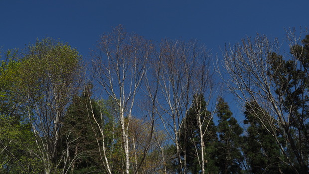 P4250211
