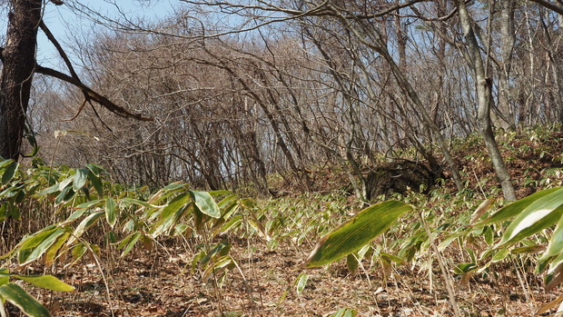 P3280033