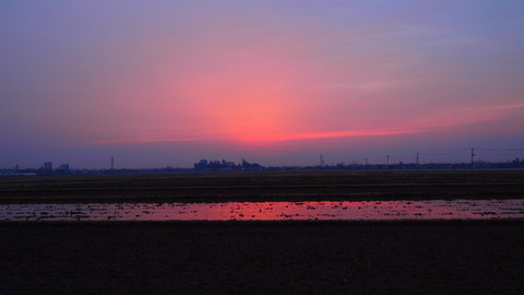 P3186992
