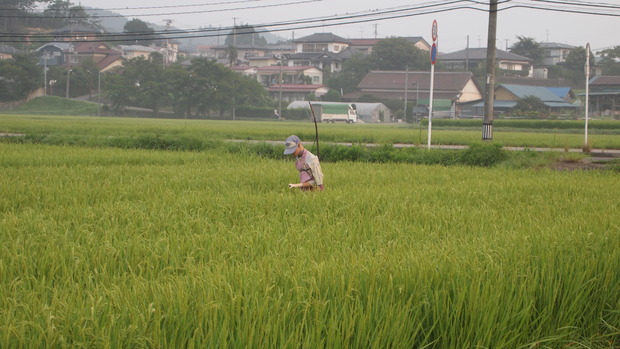 服の色が蚊に刺されやすくなる