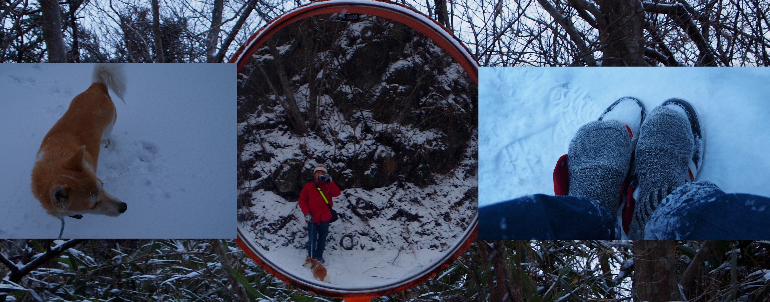 控えめに言っても奇妙な、4 つの「代替」測定単位!