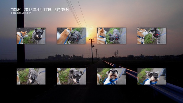 コロ君 2015年4月17日 5時35分