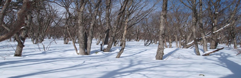 山の光と影2