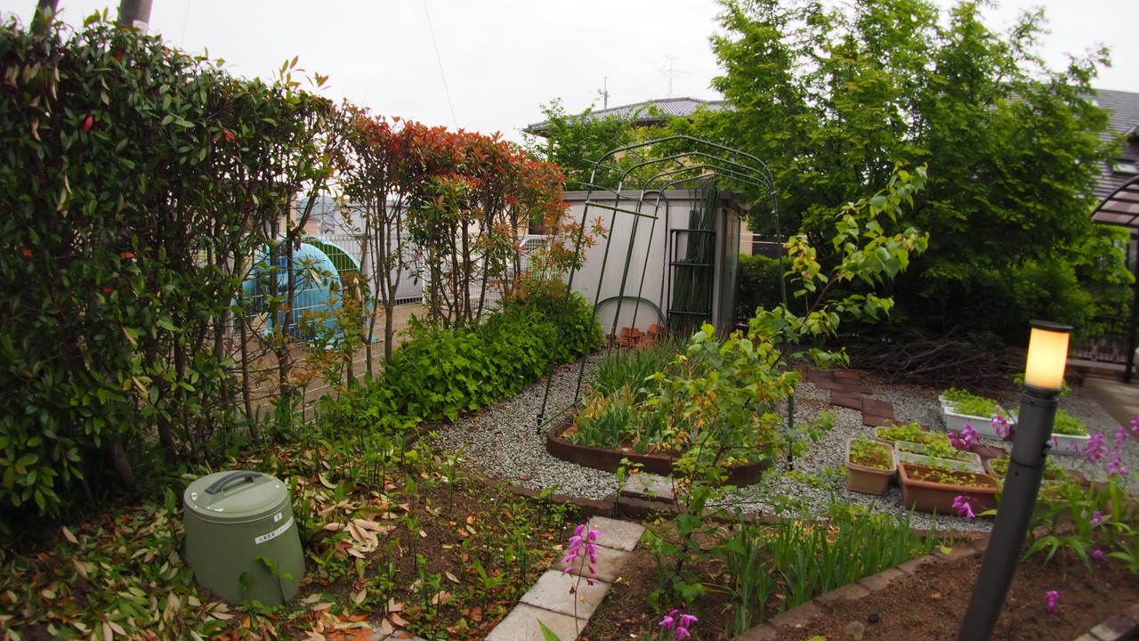 ブラジルのテレビのトーク番組に出演した有名人 15 人の本名を調べてみましょう