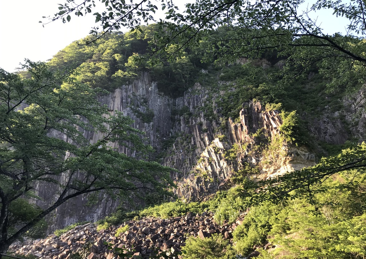 おしゃれだから:ヒョウがカメラを掴んで自撮り