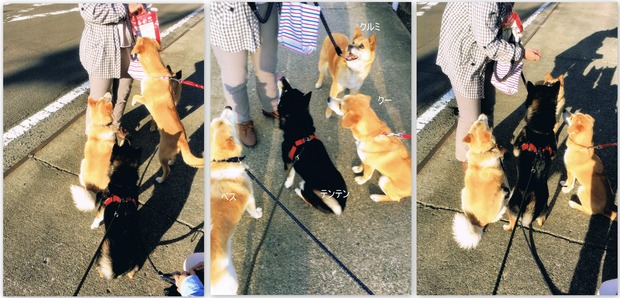 火星から来たBeth