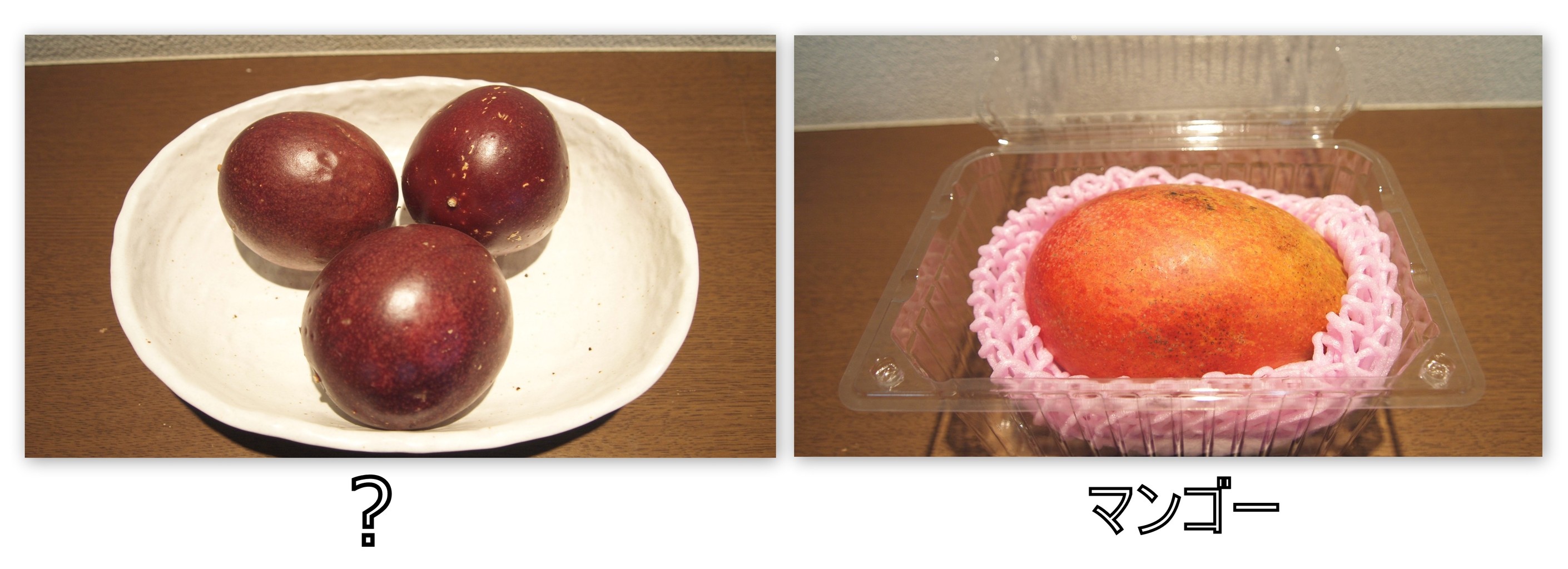 そうは思えないかもしれないが、これら 10 匹の動物は簡単に人を殺すことができる