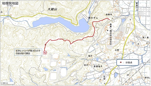 金剛寺からナスパ