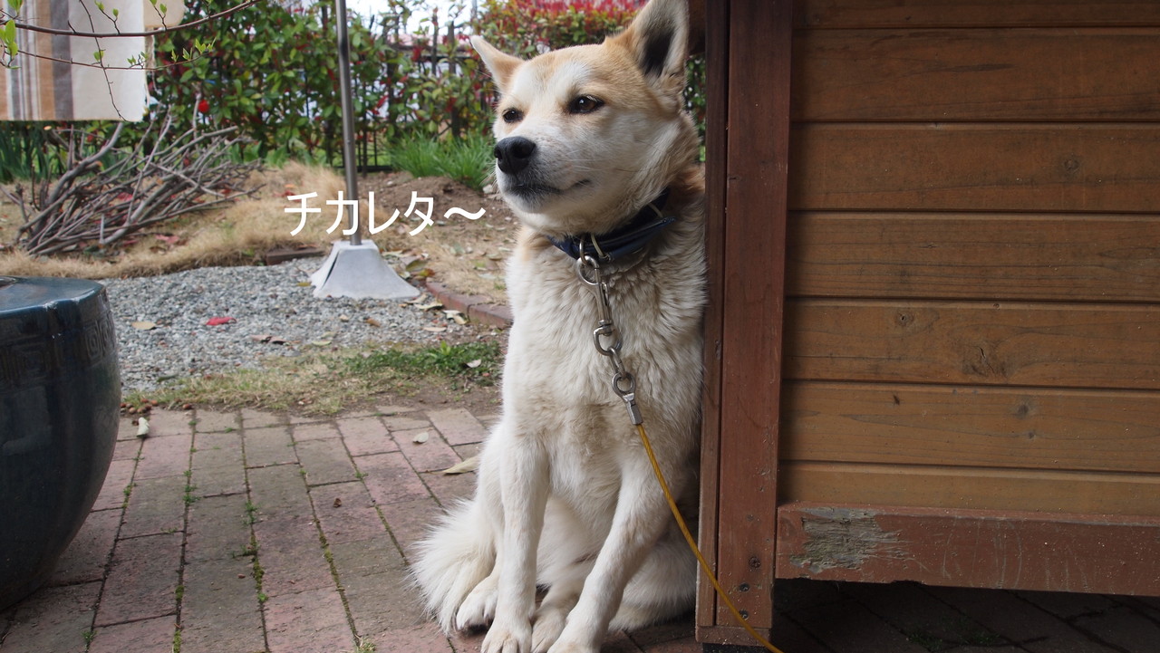 スーパーヒーロー漫画の衝撃的な瞬間 6 つ