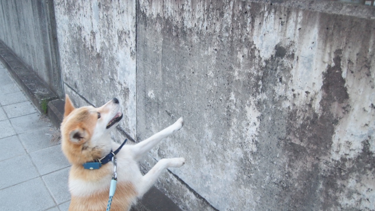 別の惑星から来たかのような地球上の 15 の風景