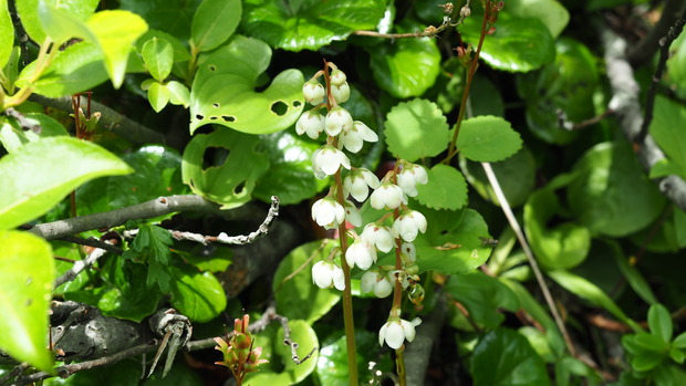 P7142059