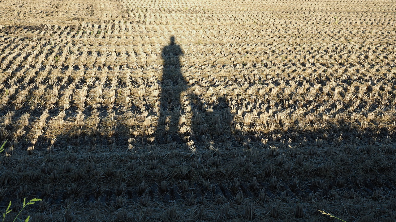 25 年間、裕福な人々を撮り続けてきた写真家のコメントをご覧ください。