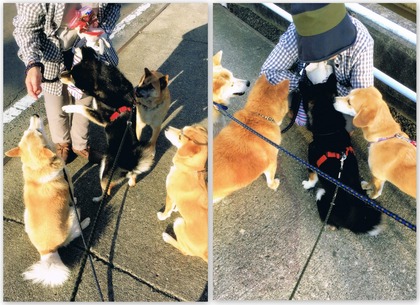 火星から来たBeth1