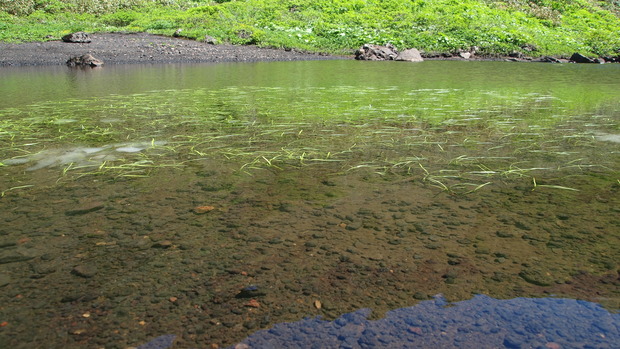 P7144677