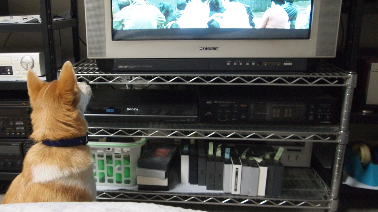 火星のインサイト探査機によって記録された最初の「火星地震」を今すぐ聴いてください。