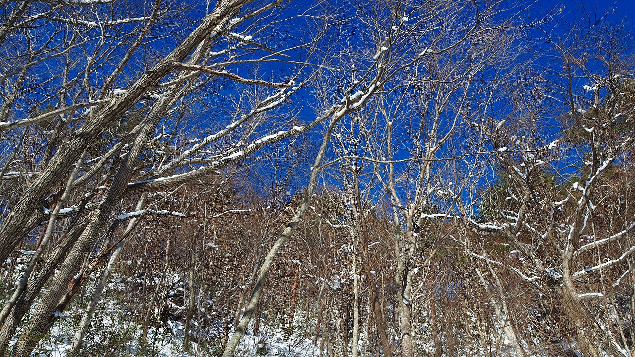 スティーブン・ホーキング博士の最大の失敗 (世界が忘れたこと)