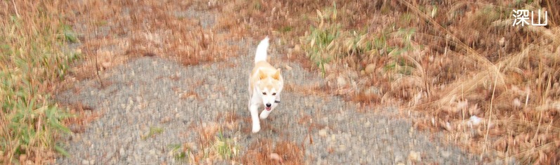 深山1