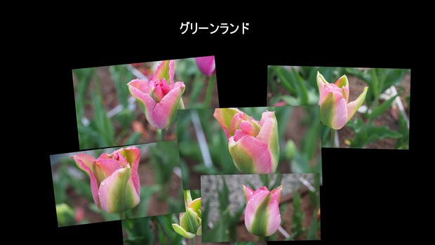 グリーンランド4