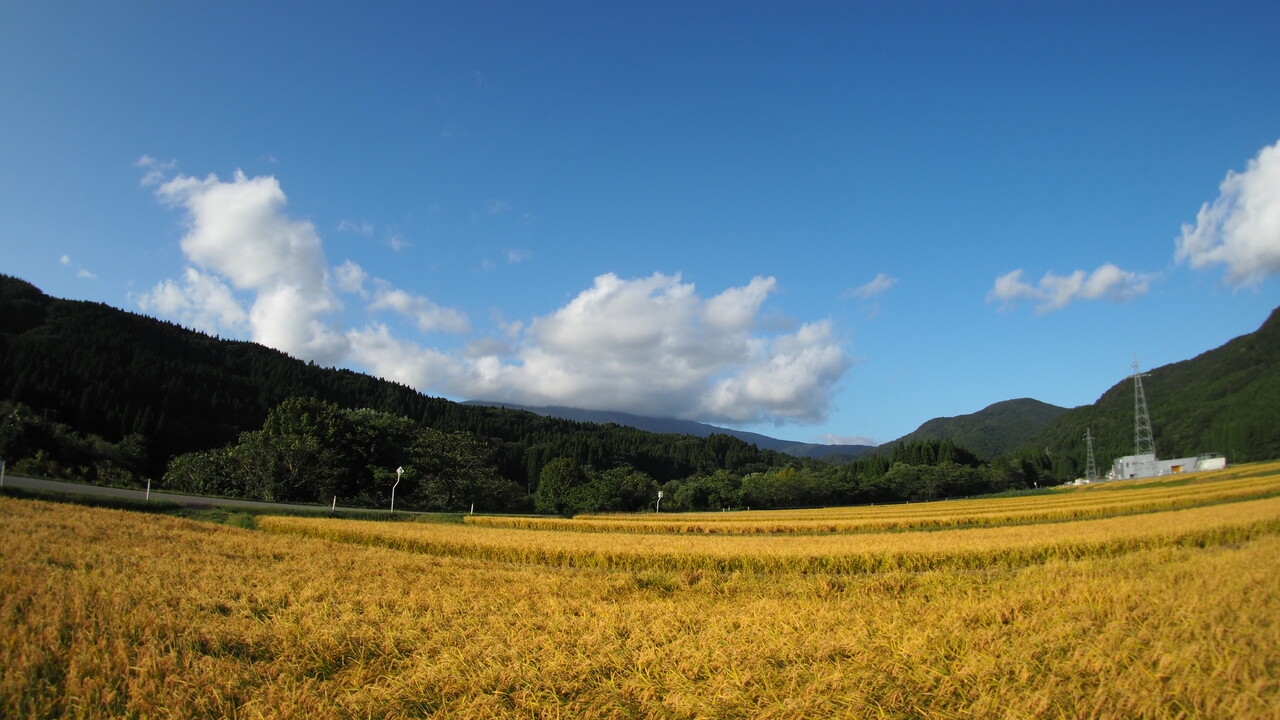 科学では説明できない5つの奇妙な音