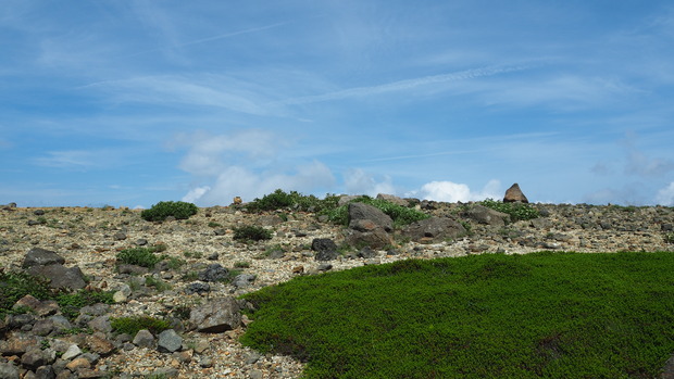 P7142164