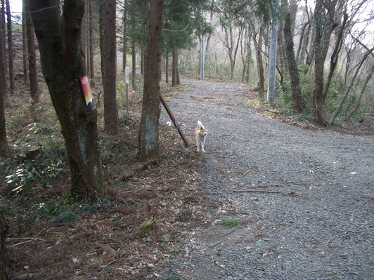 そして誰もいなくなった