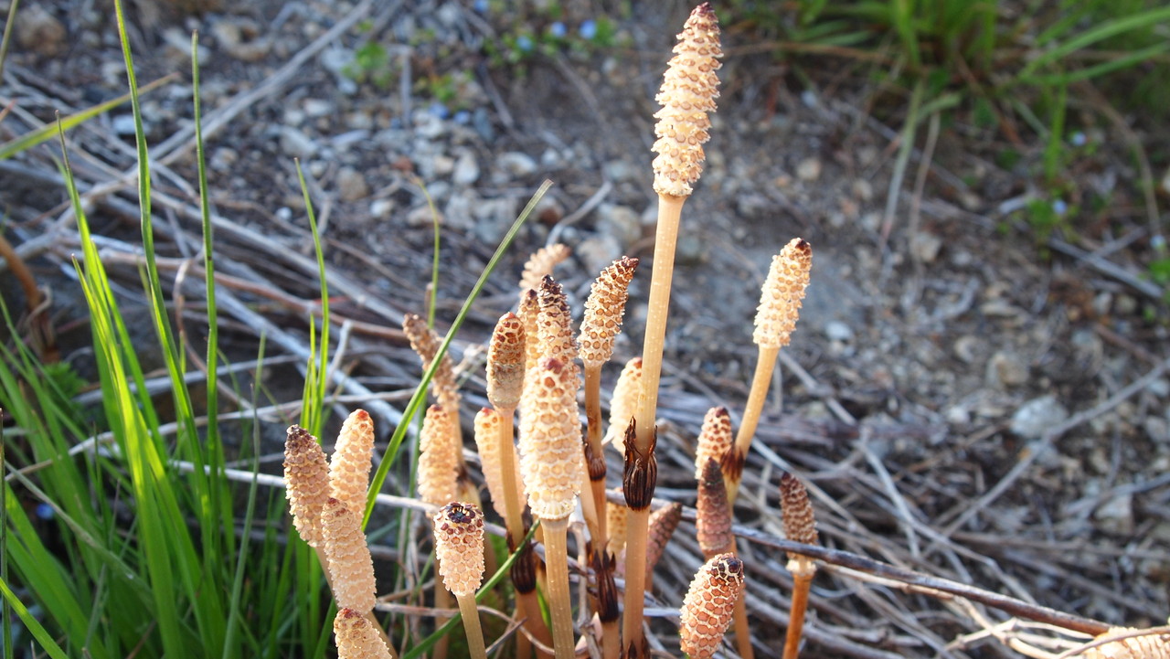 『ホビット 竜に奪われた王国』に新しいプロモーションビデオが登場