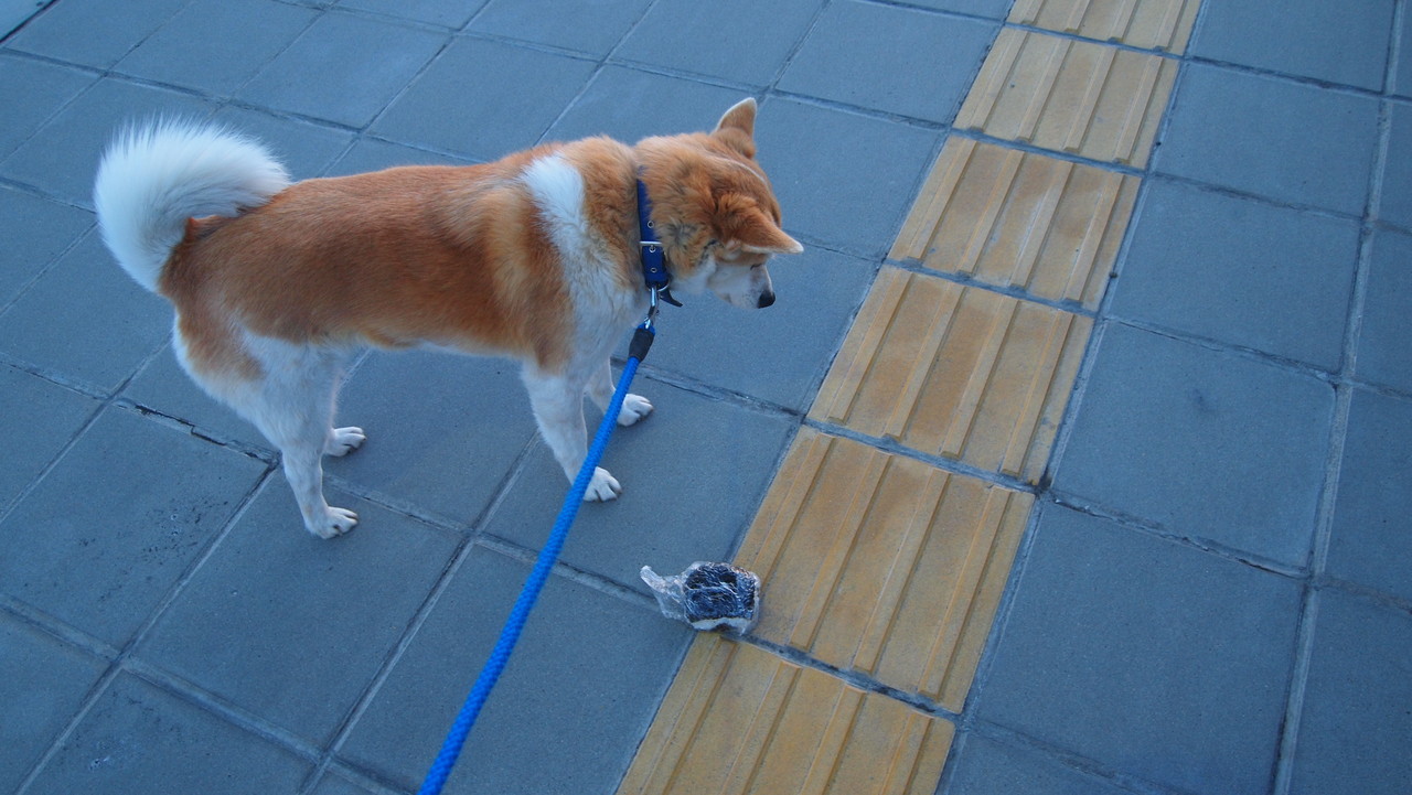 火星から来たbeth 火星から来たbeth