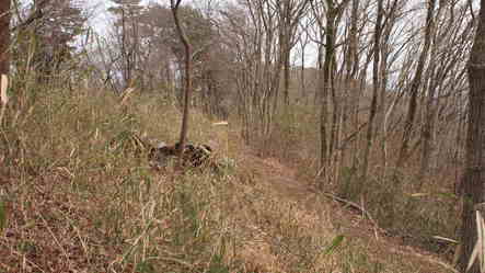 山道は険しかったわ