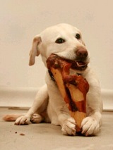 �Ϲ���������������