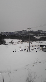 31a81477.jpg
