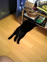 ����äȤ��͵�̣��